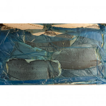 Miruna filet z/s SHP 170-230g (3x6,8 kg)
